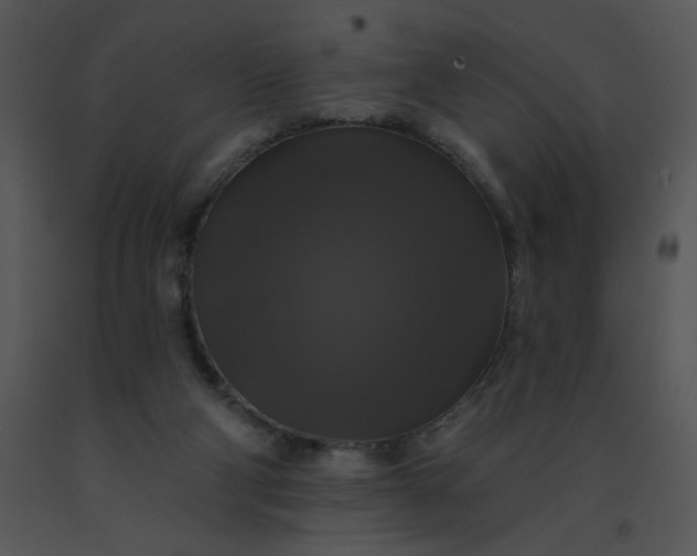 X0000091510114200708311235