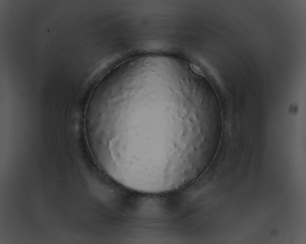 X0000091510115200708311235