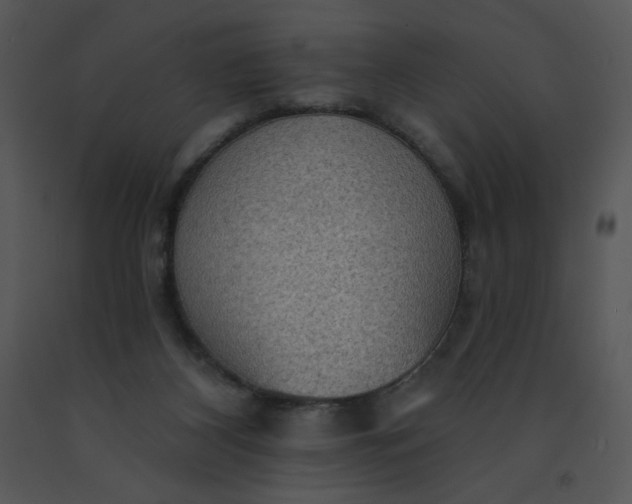 X0000091510116200708311235