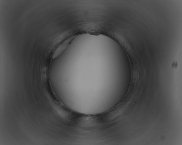 X0000091510117200708311235