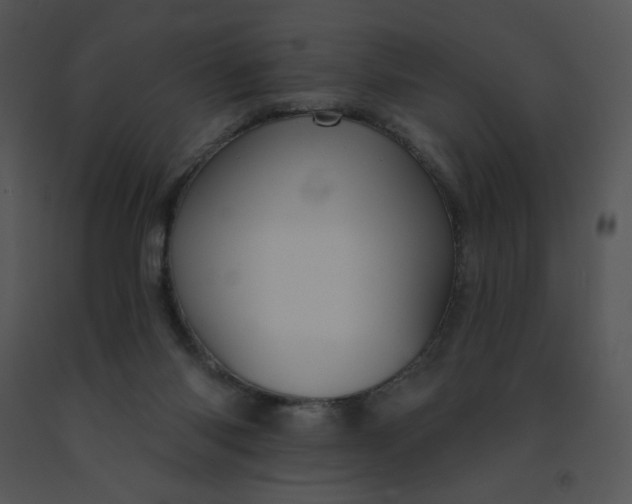 X0000091510118200708311235