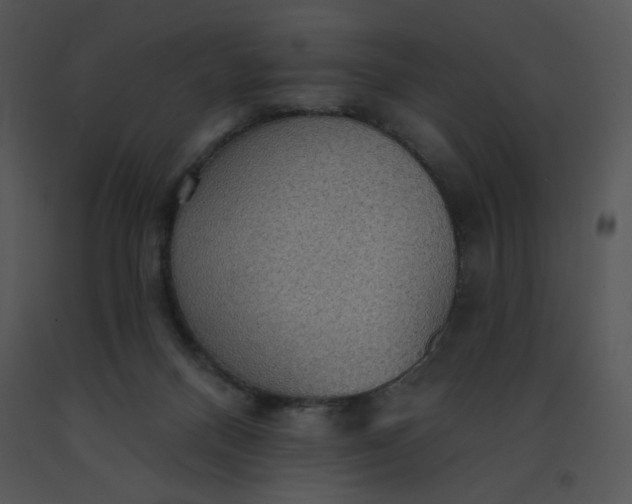 X0000091510120200708311235