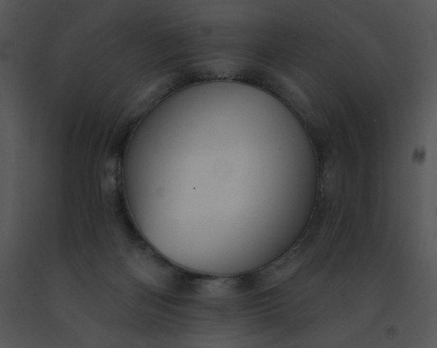 X0000091510122200708311235