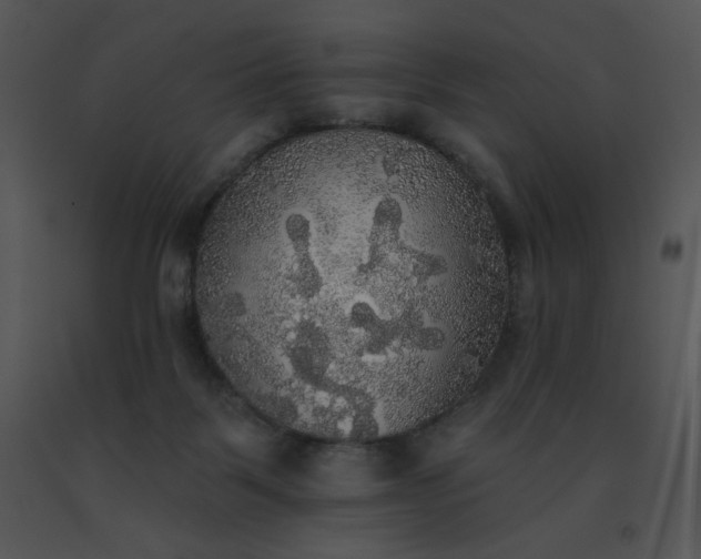 X0000091510123200708311235