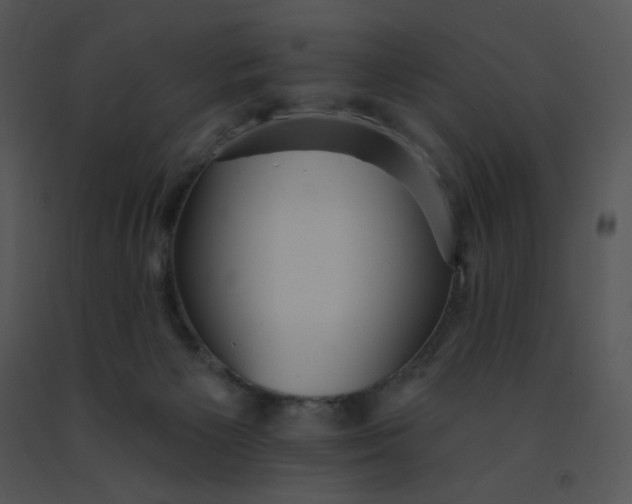 X0000091510125200708311235