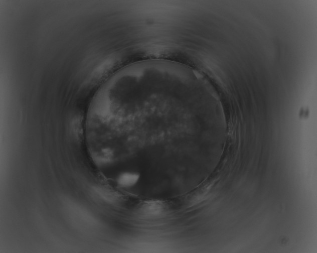 X0000091510127200708311235