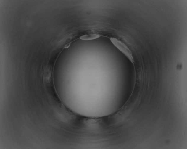 X0000091510129200708311235