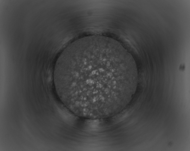 X0000091510131200708311235