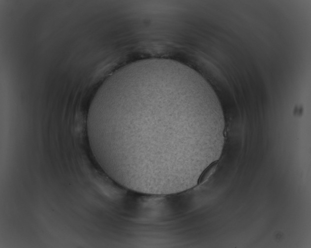 X0000091510132200708311235