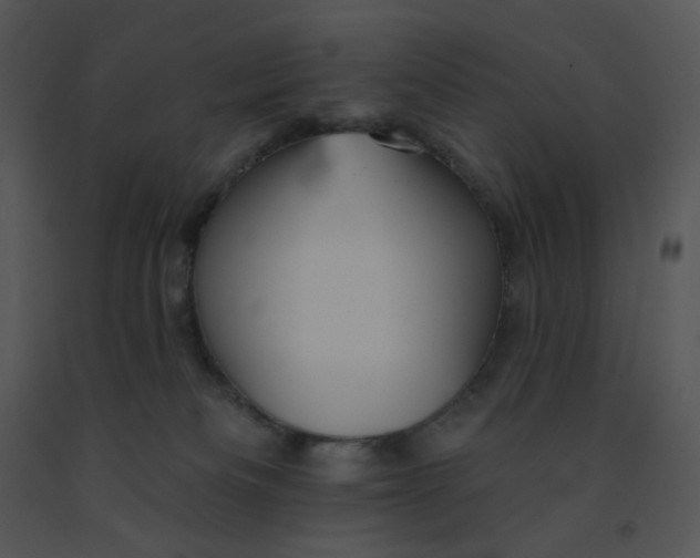 X0000091510133200708311235