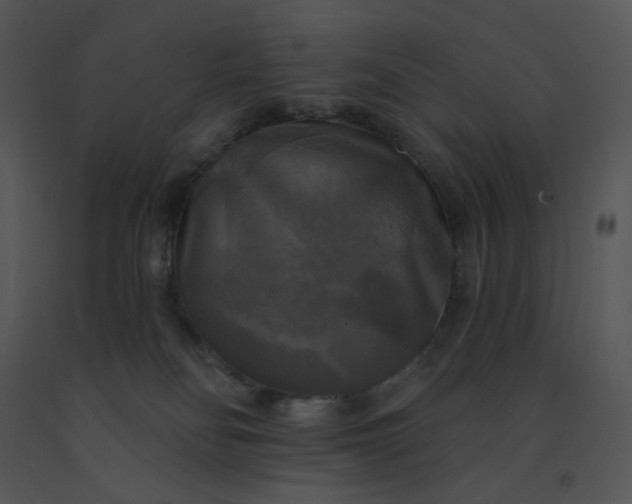 X0000091510134200708311235