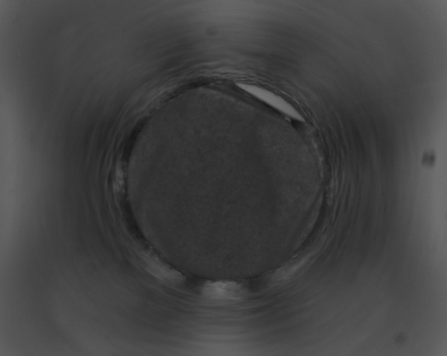 X0000091510137200708311235