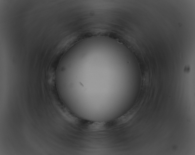 X0000091510138200708311235