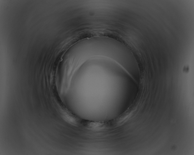 X0000091510139200708311235