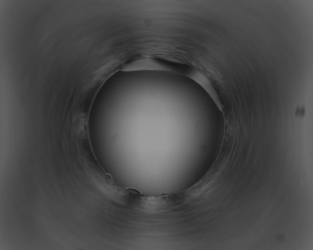 X0000091510141200708311235