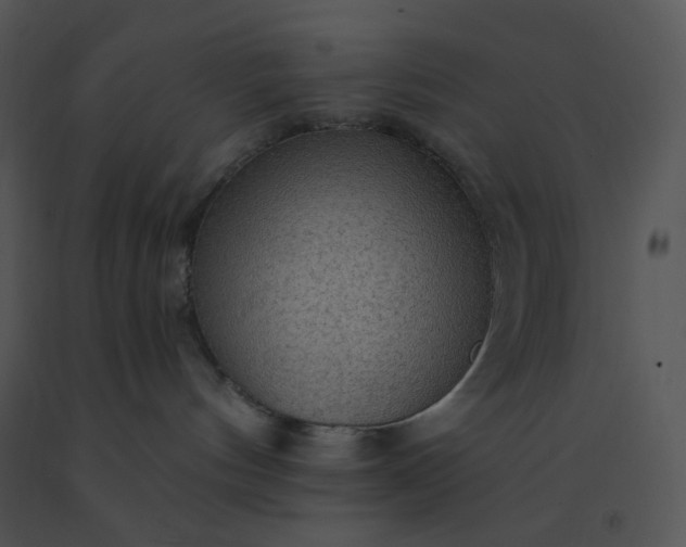 X0000091510144200708311235