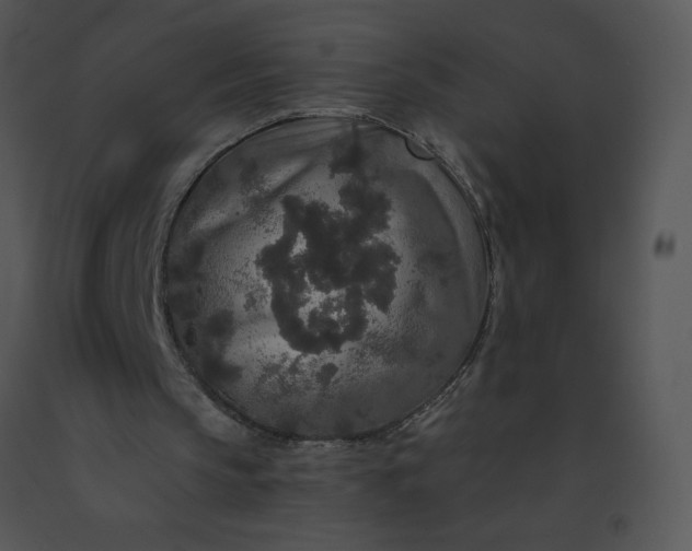 X0000091510145200708311234