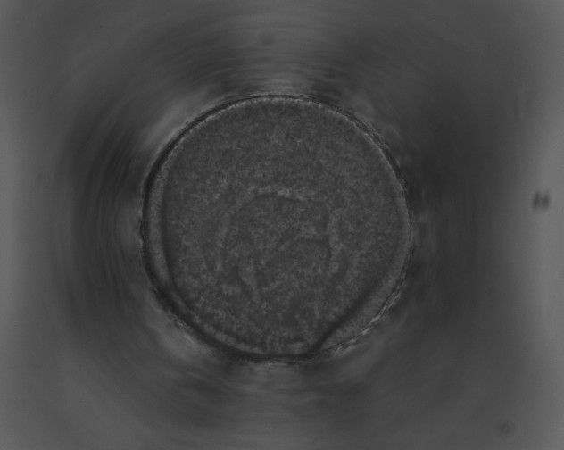 X0000091510146200708311234