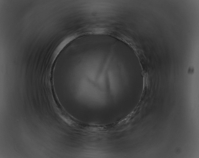 X0000091510147200708311234