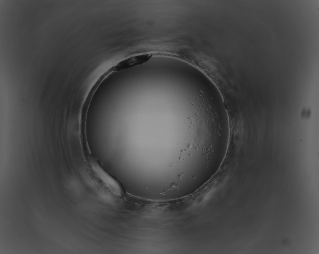 X0000091510148200708311234