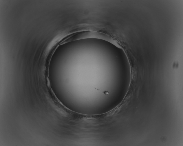 X0000091510150200708311234