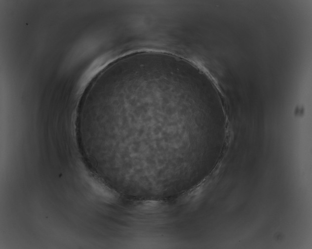 X0000091510151200708311234