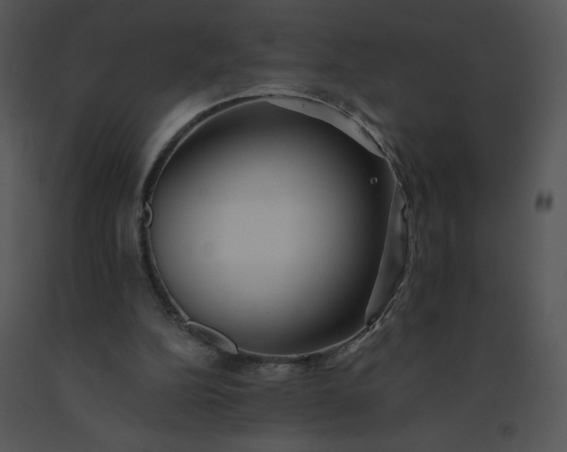 X0000091510152200708311234