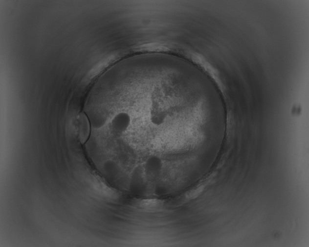 X0000091510153200708311234