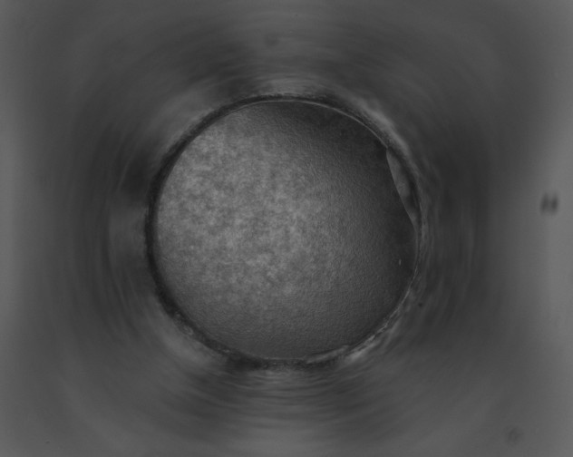 X0000091510154200708311234