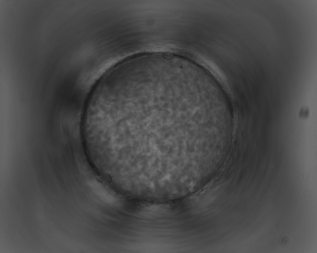 X0000091510155200708311234