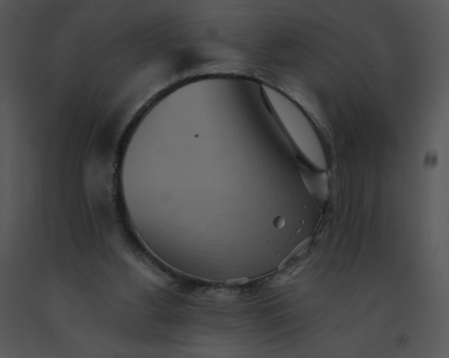 X0000091510156200708311234