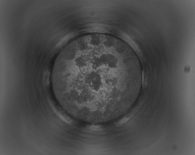 X0000091510157200708311234