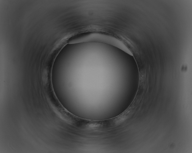 X0000091510158200708311234