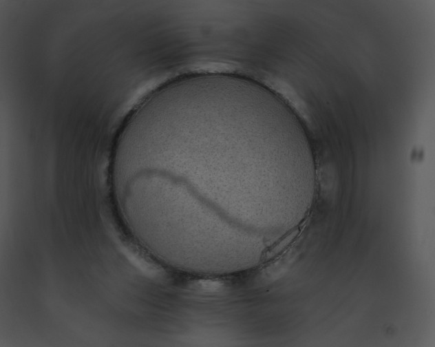 X0000091510159200708311234