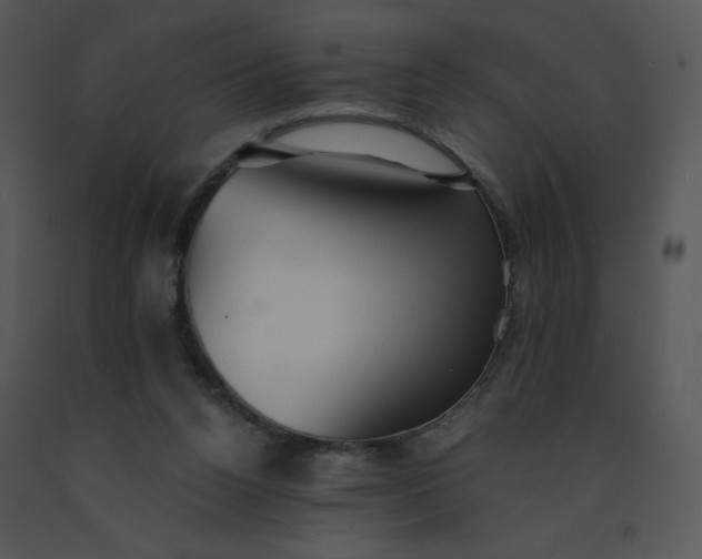 X0000091510160200708311234