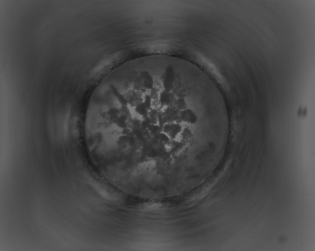 X0000091510161200708311234