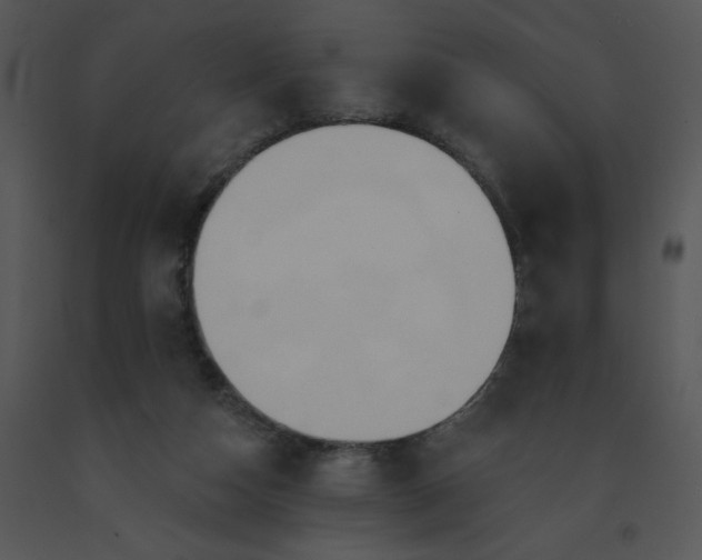 X0000091510162200708311234