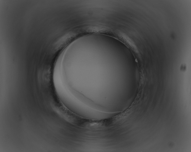 X0000091510163200708311234