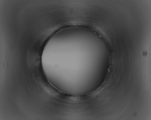 X0000091510164200708311234