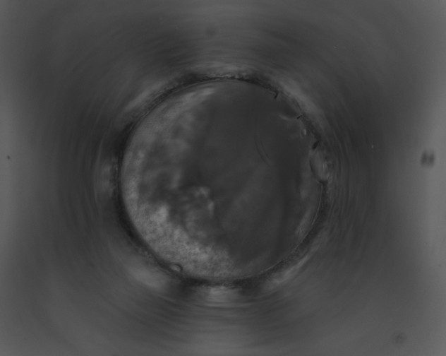 X0000091510165200708311234