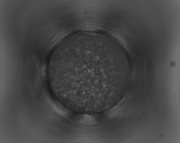 X0000091510166200708311234