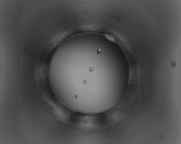 X0000091510168200708311234