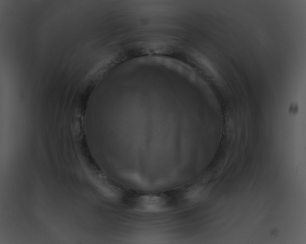 X0000091510169200708311234