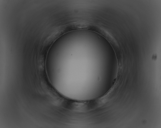 X0000091510170200708311234