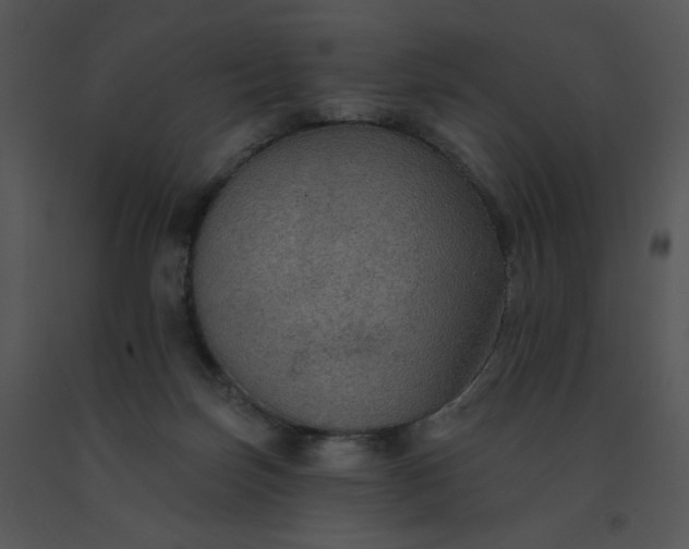 X0000091510171200708311234