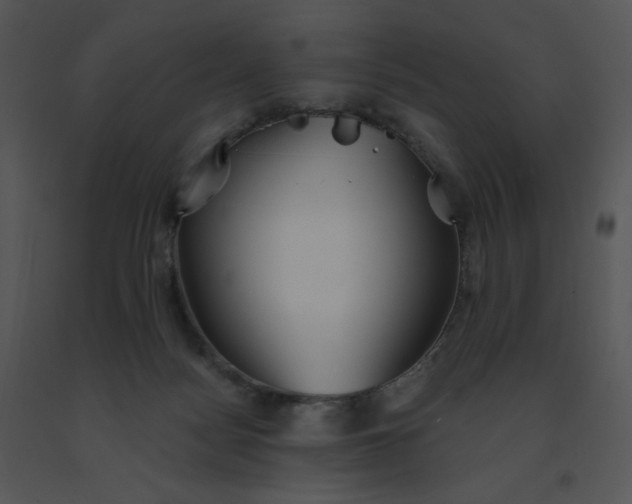 X0000091510172200708311234