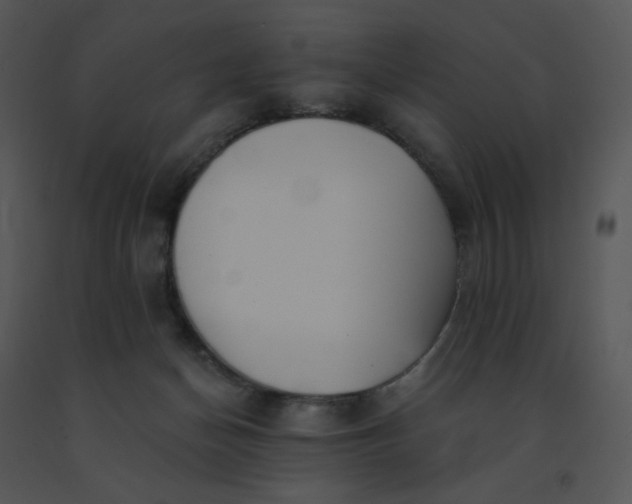 X0000091510174200708311235