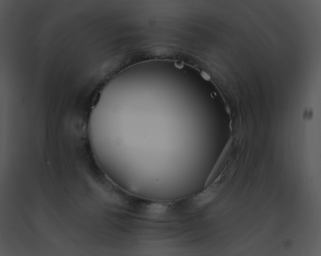 X0000091510176200708311235