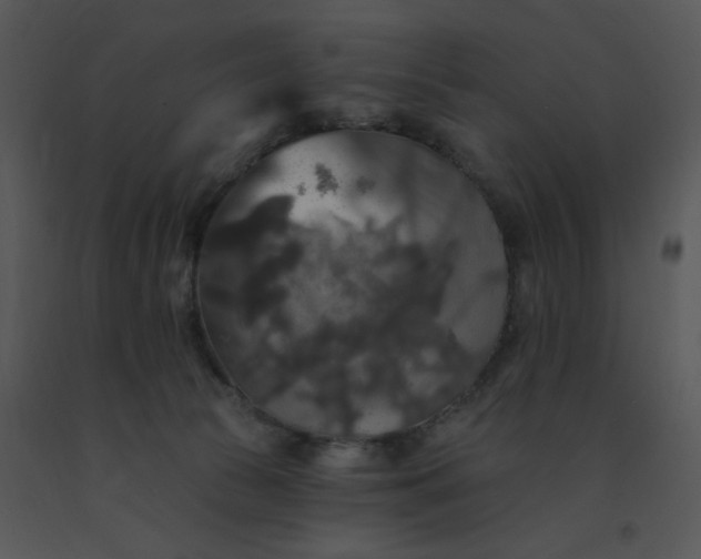 X0000091510177200708311235