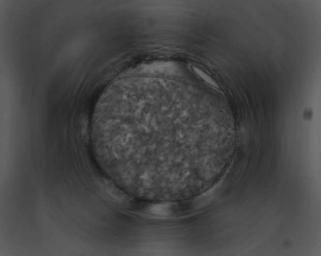 X0000091510178200708311235